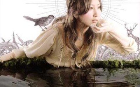 吉田亚纪子歌曲:Follow The Nightingale (Original Karaoke)歌词