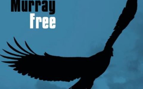 铃木亚美歌曲:Free Free歌词
