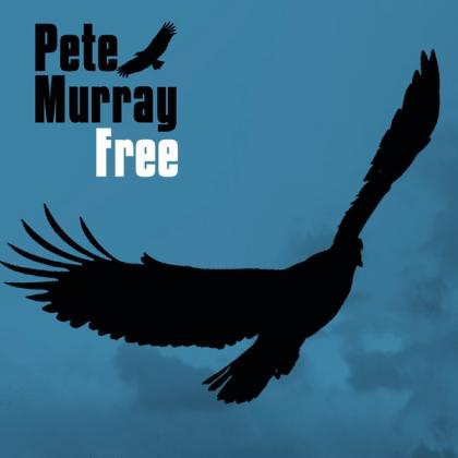 铃木亚美歌曲:Free Free歌词