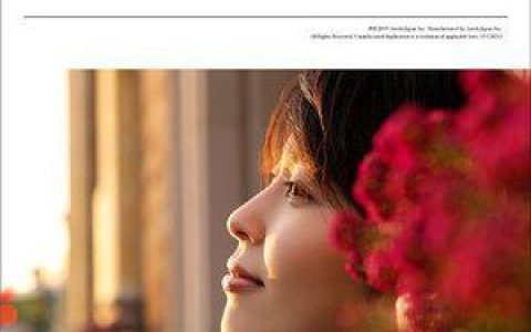 松隆子歌曲:君となら歌词
