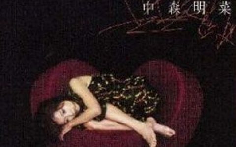 中森明菜歌曲:嵐の中で歌词