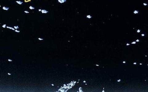 Max歌曲:SPLASH GOLD-夏の奇蹟-(In歌词