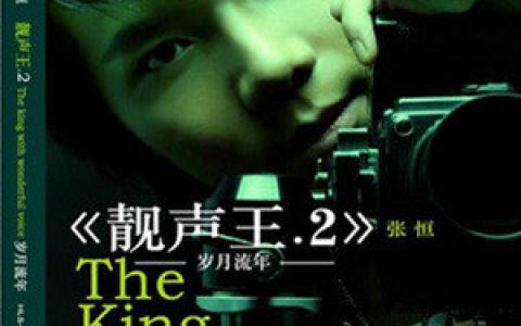 张恒歌曲:迟来的爱歌词